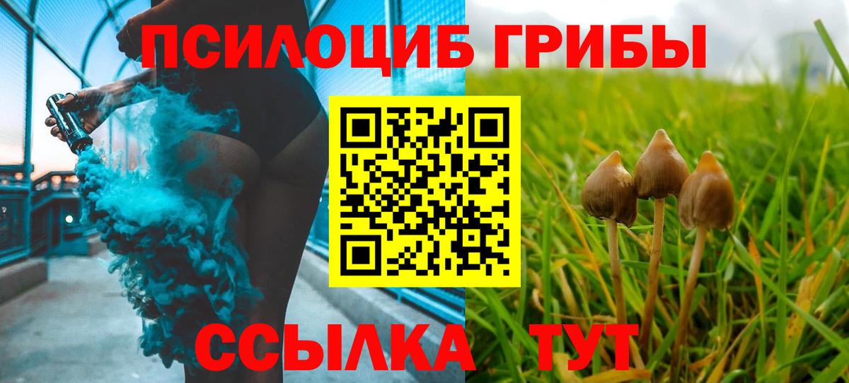 Галлюциногенные грибы GOLDEN TEACHER Новочеркасск